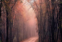 爱游戏：[国际足球]贝里瓦尔绝杀 “红军”24场不败遭终结.