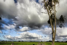 爱游戏:争欧冠资格是最难的挑战?瓜帅:不,要连胜17场夺冠才难.