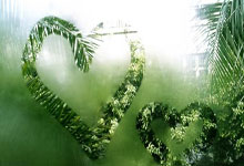 爱游戏:东契奇15场20+比肩科比韦斯特!里夫斯:他是我最喜欢的球员之一.