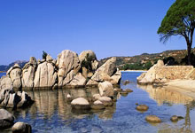 国安旧将闪耀欧战.